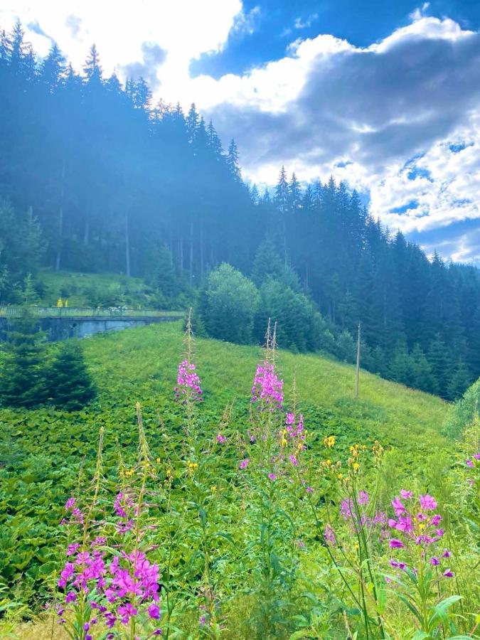 Stoykite Escape House Apartment Екстериор снимка